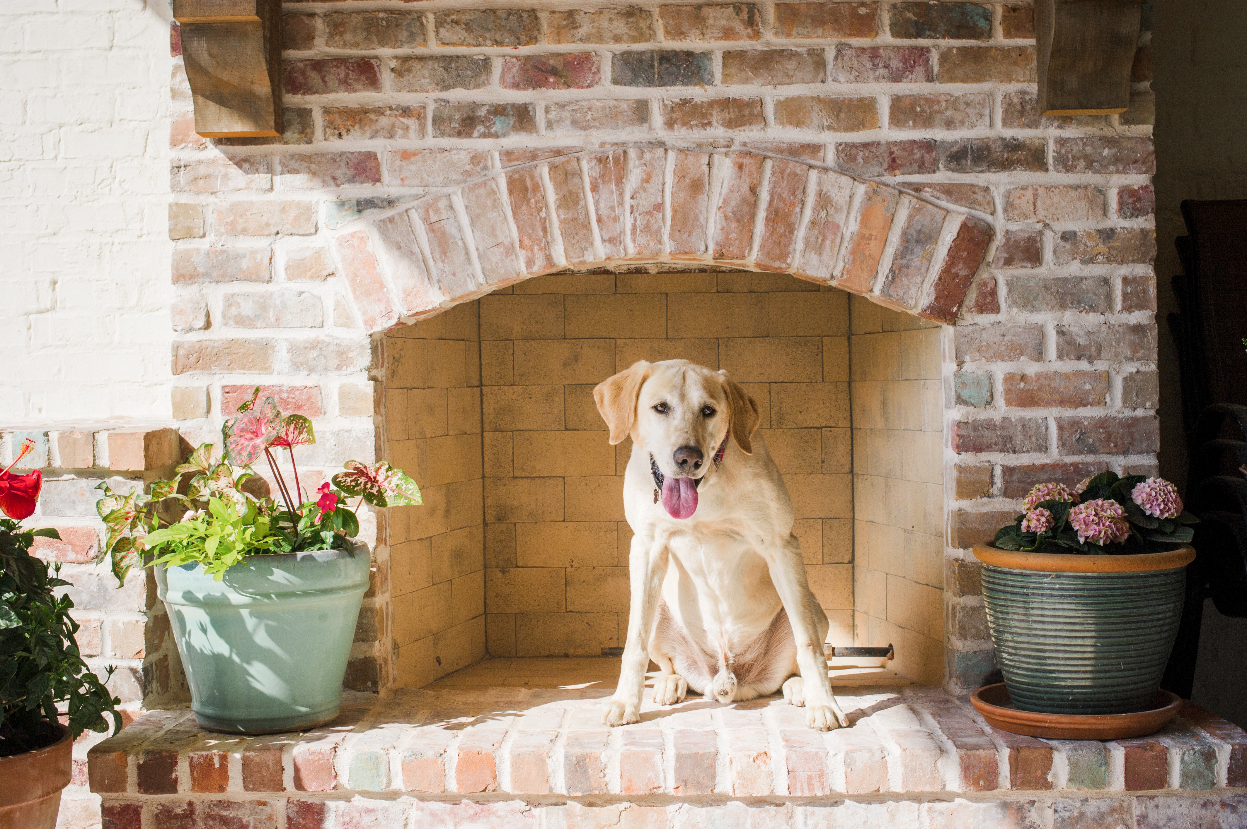 Styled shelf vignette with art and objects